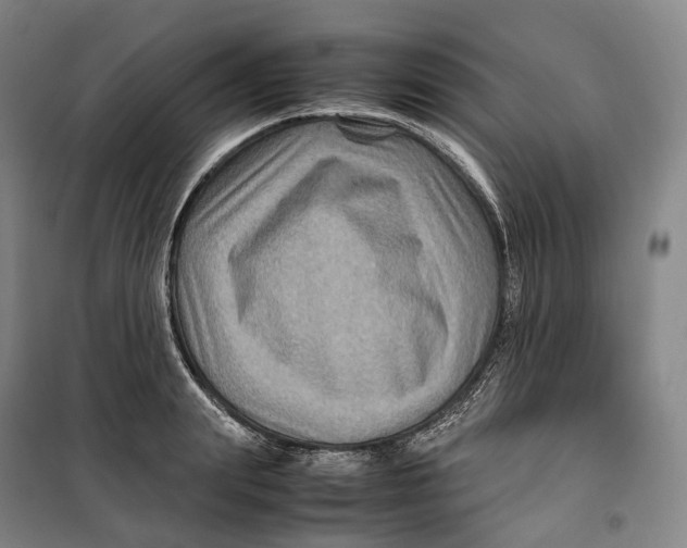 X0000099570847200806061601