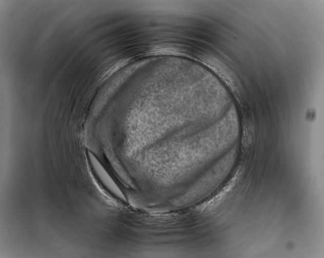 X0000099570849200806061601
