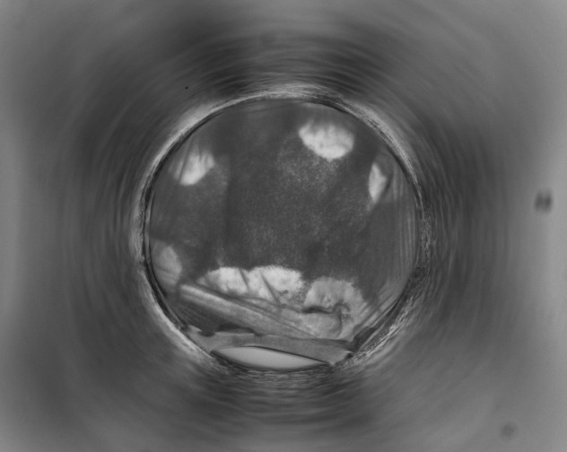 X0000099570851200806061601