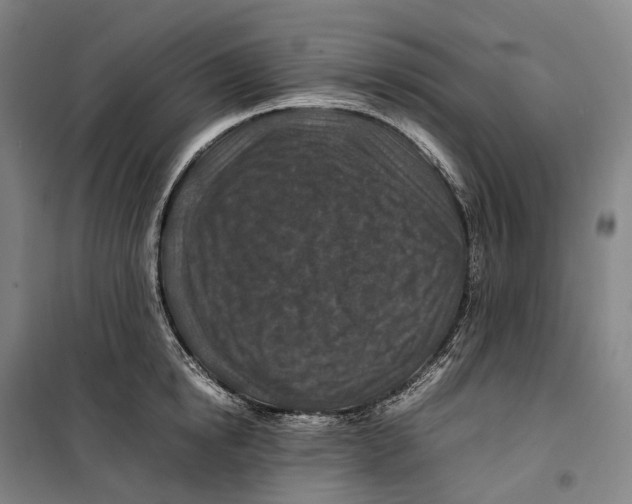 X0000099570854200806061601