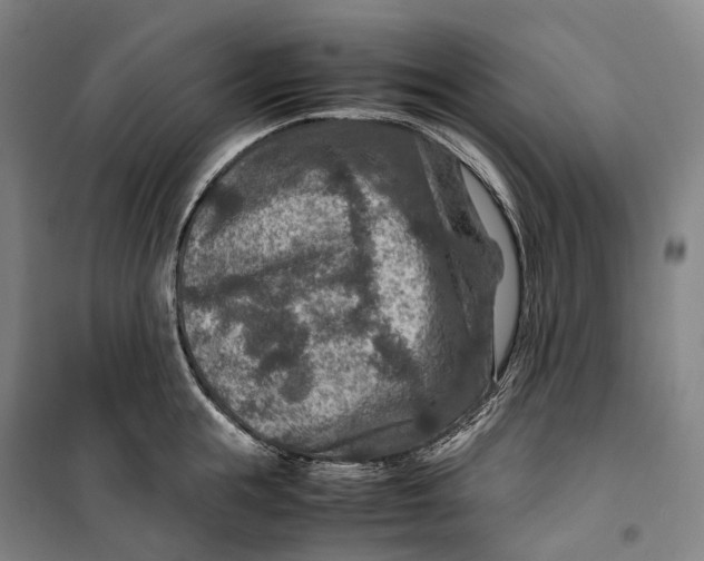 X0000099570855200806061601