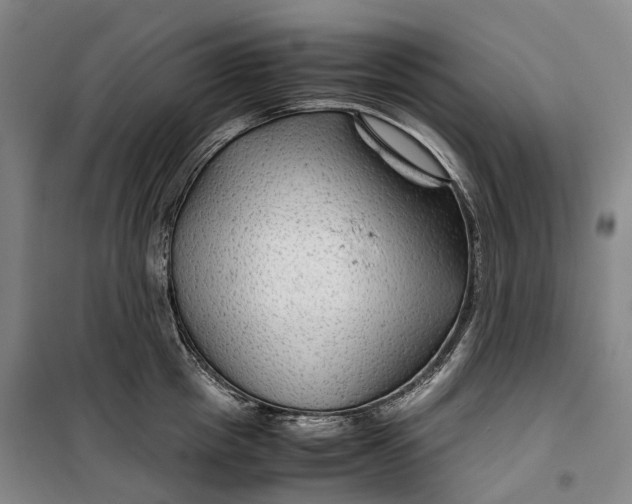 X0000099570857200806061601