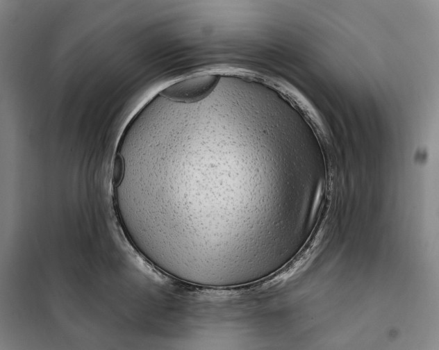 X0000099570860200806061601
