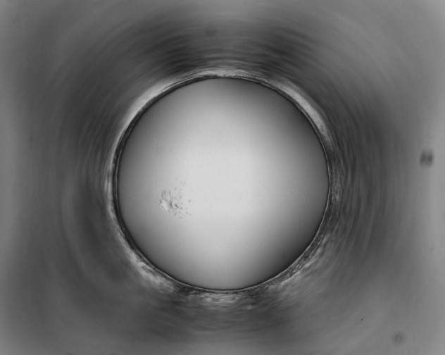 X0000099570861200806061601