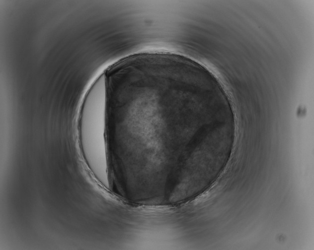 X0000099570864200806061601