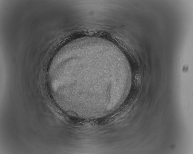 X0000099570865200806061601