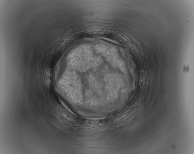 X0000099570866200806061601