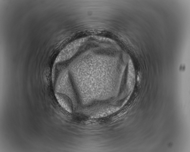 X0000099570867200806061601