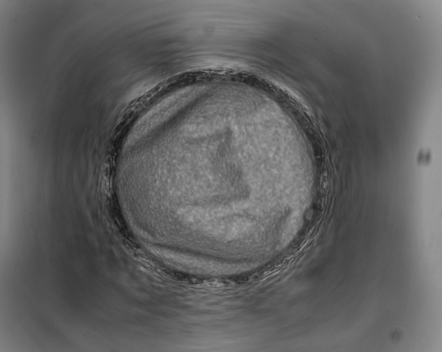 X0000099570869200806061600
