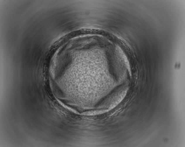X0000099570870200806061600