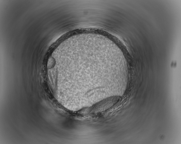 X0000099570871200806061600