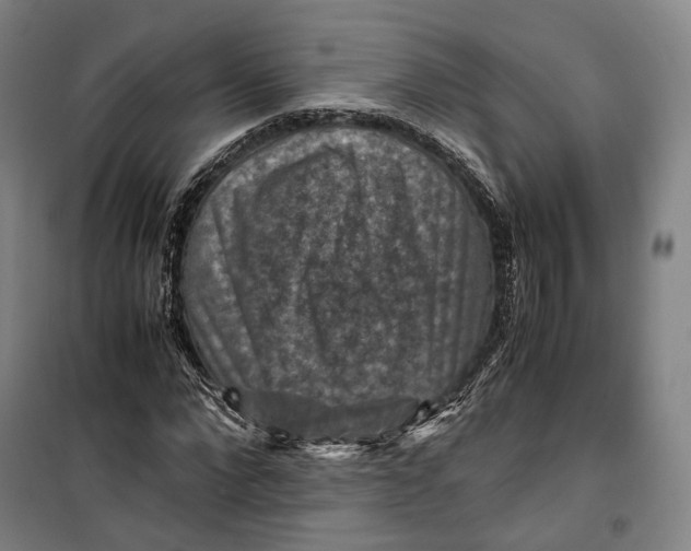 X0000099570872200806061600