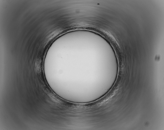 X0000099570873200806061600