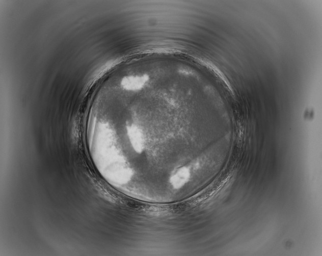 X0000099570874200806061600