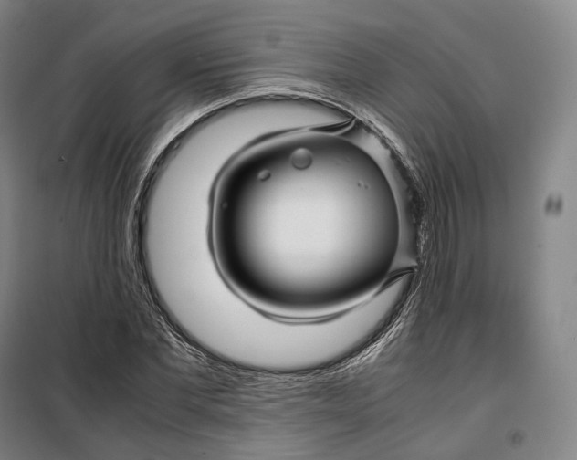 X0000099570877200806061600