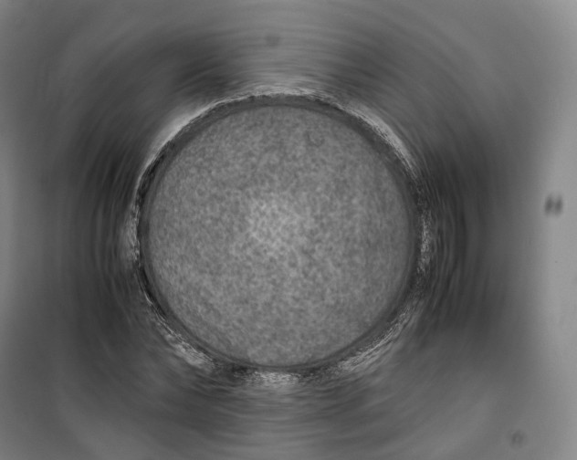 X0000099570878200806061600