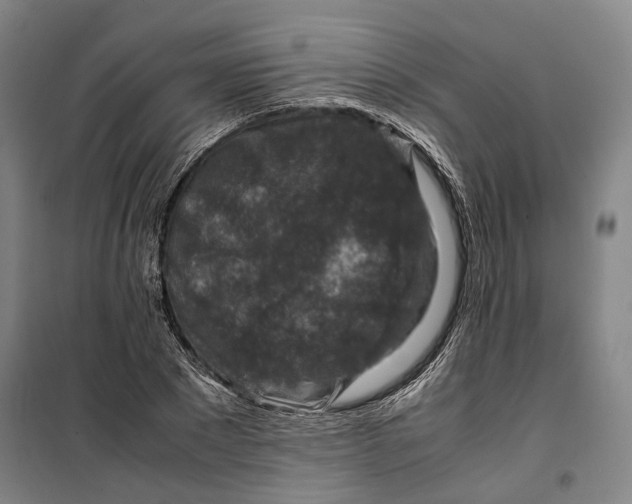 X0000099570881200806061600