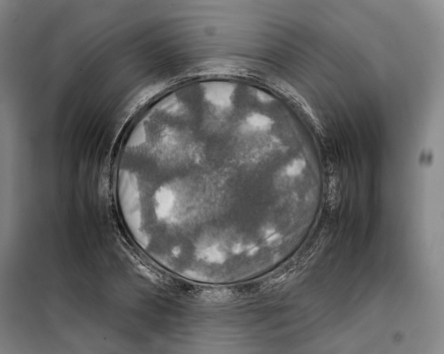 X0000099570882200806061600