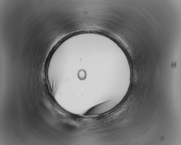 X0000099570883200806061600