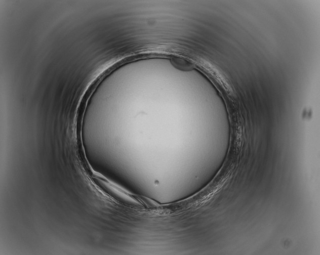 X0000099570884200806061600