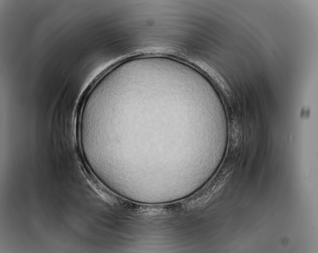 X0000099570886200806061600