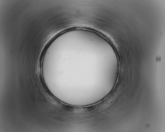 X0000099570887200806061600