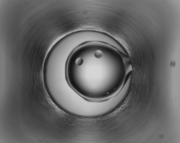 X0000099570888200806061600