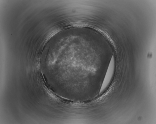 X0000099570889200806061600