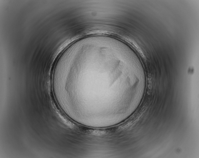 X0000099570890200806061600