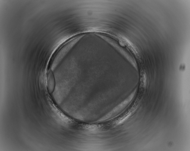 X0000099570892200806061600