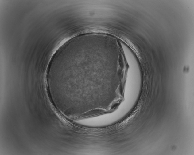 X0000099570893200806061600