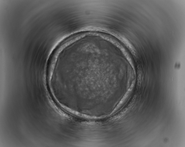 X0000099570896200806061600