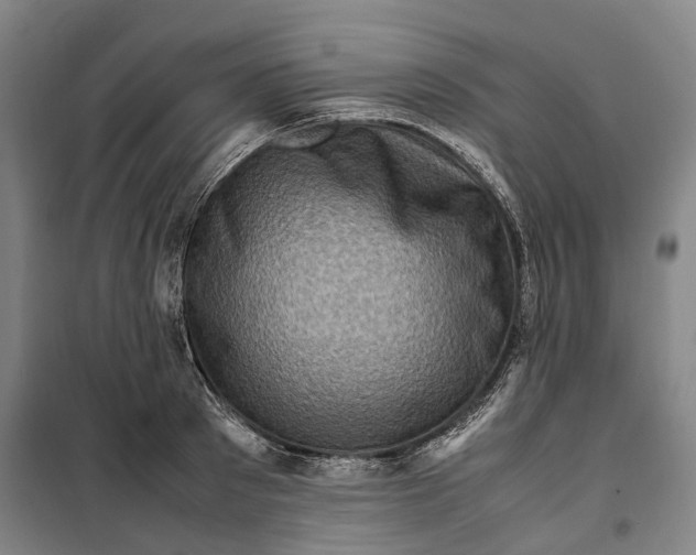 X0000099570897200806061600