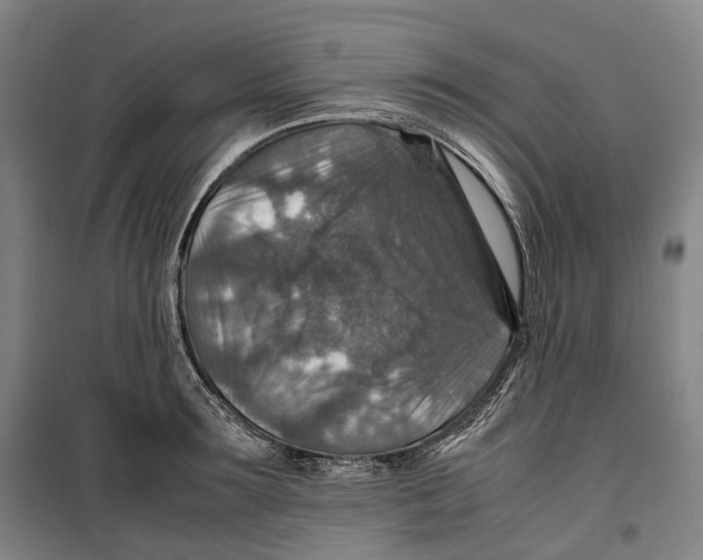 X0000099570899200806061600