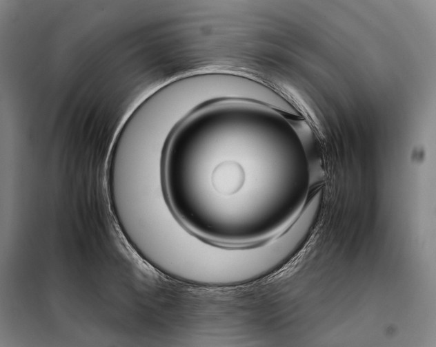 X0000099570900200806061600