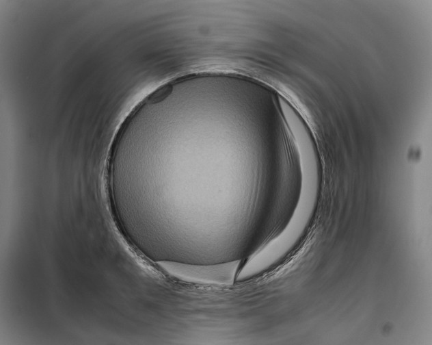 X0000099570901200806061600
