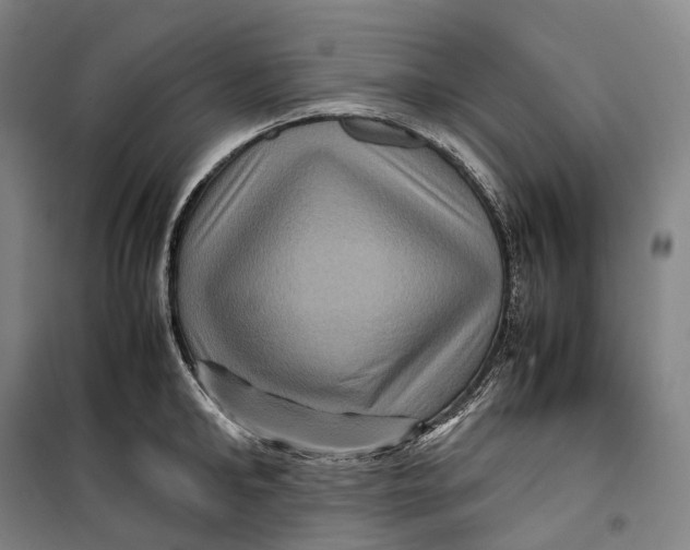 X0000099570902200806061600