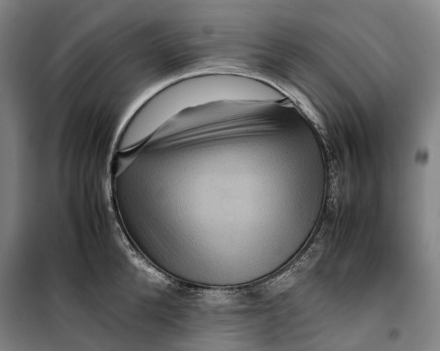 X0000099570904200806061600