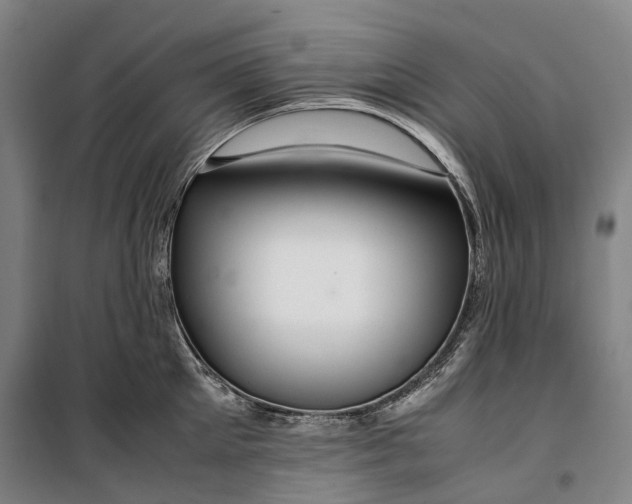 X0000099570905200806061600