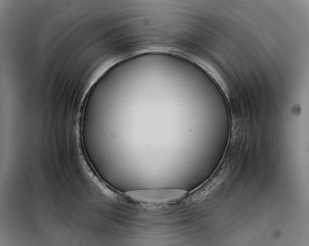 X0000099570906200806061600