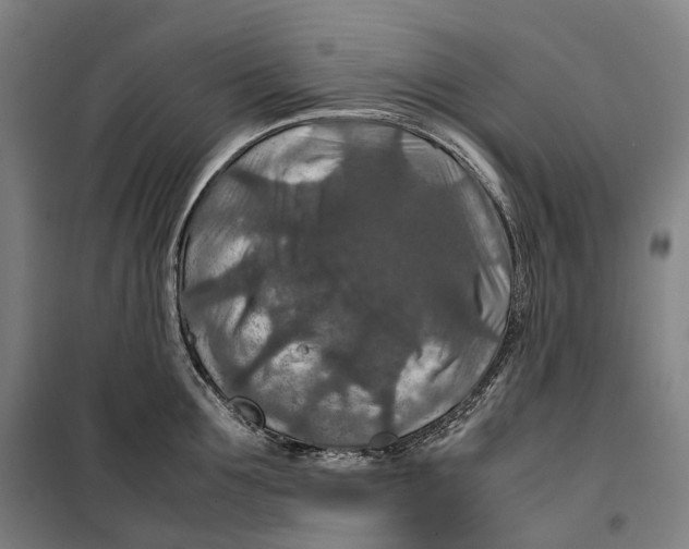 X0000099570907200806061600