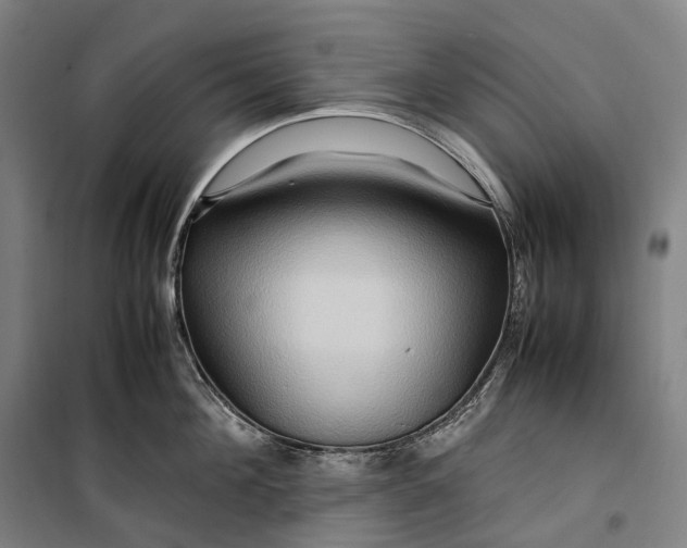X0000099570908200806061600