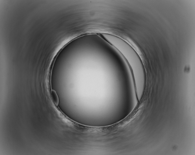 X0000099570909200806061600