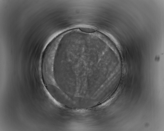 X0000099570910200806061600