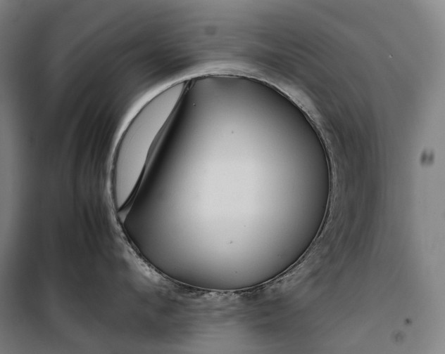 X0000099570912200806061600