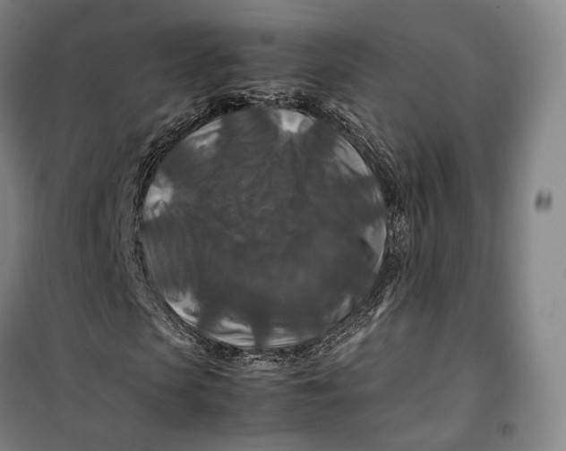 X0000099570913200806061559