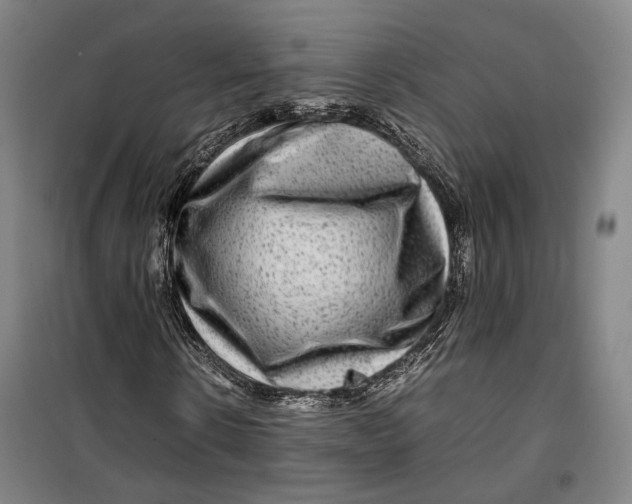 X0000099570914200806061559