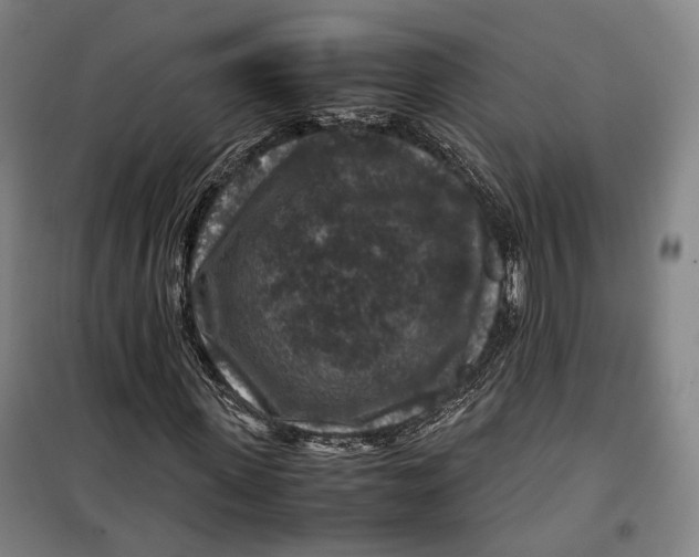 X0000099570915200806061559
