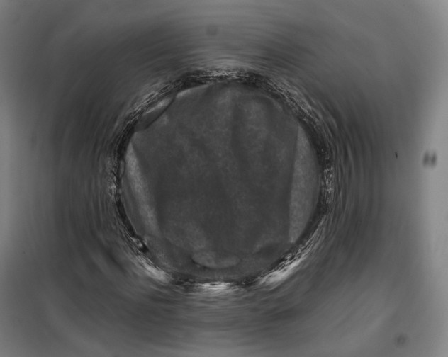 X0000099570916200806061559
