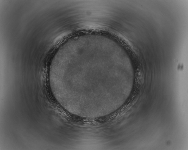 X0000099570918200806061559